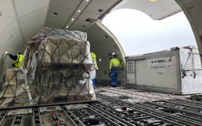 From Last-Mile Delivery to Green Logistics