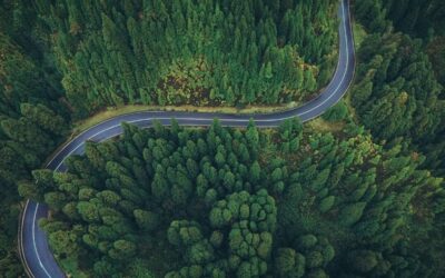 How ESG Optimizes The Cost of Capital